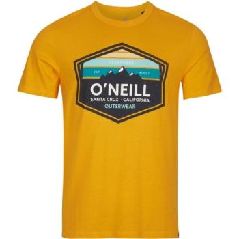 O'Neill MTN HORIZON T-SHIRT Férfi póló, narancssárga, méret kép