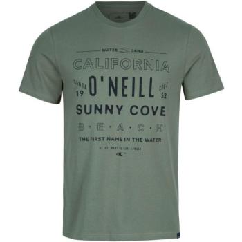 O'Neill MUIR T-SHIRT Férfi póló, zöld, méret kép