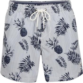 O'Neill PINEAPPLE SEERSUCKER SHORTS Férfi fürdőnadrág, kék, méret kép