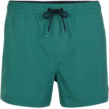 O'Neill PM CALI PANEL SHORTS Férfi fürdőnadrág, zöld, méret kép