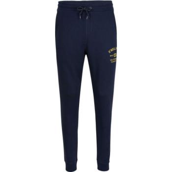 O'Neill STATE JOGGER PANTS Férfi melegítőnadrág, sötétkék, méret kép