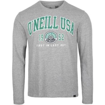 O'Neill STATE L/SLV T-SHIRT Férfi felső, szürke, méret kép