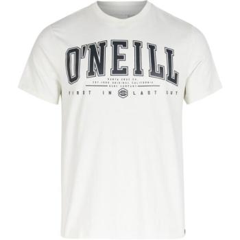 O'Neill STATE MUIR T-SHIRT Férfi póló, fehér, méret kép