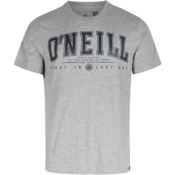 O'Neill STATE MUIR T-SHIRT Férfi póló, szürke, méret kép