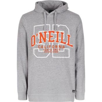 O'Neill SURF STATE HOODIE Férfi pulóver, szürke, méret kép