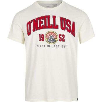 O'Neill SURF STATE T-SHIRT Férfi póló, fehér, méret kép