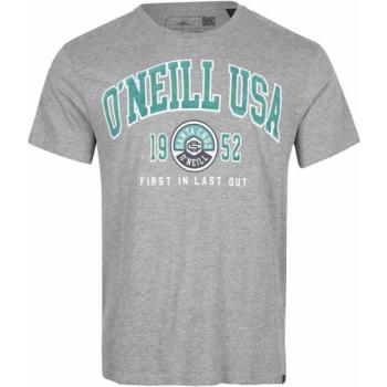 O'Neill SURF STATE T-SHIRT Férfi póló, szürke, méret kép