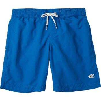 O'Neill VERT SHORTS Fiú fürdőnadrág, kék, méret kép