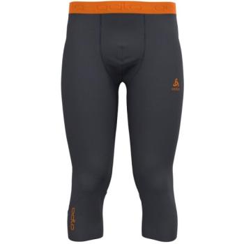 Odlo REVELSTOKE PERFORMANCE WOOL 150 Férfi thermo leggings, sötétszürke, méret kép