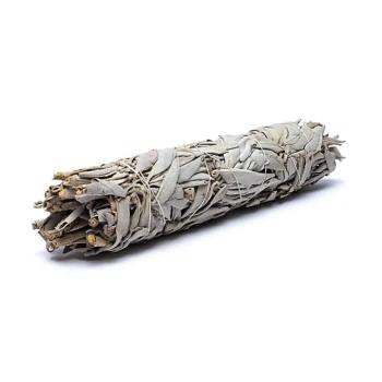 Phoenix Import Phoenix White Sage fehér zsálya fűtőköteg -10 cm Típus: L 110-140g kép