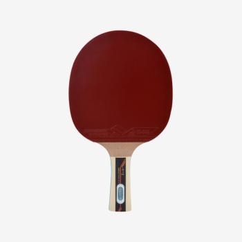 Pingpongütő egyesületi használatra - Donic Pro 600 3* kép