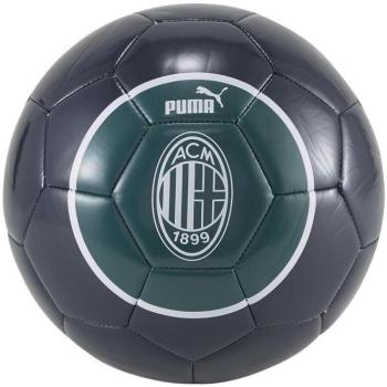 Puma ACM ftblArchive Ball kép