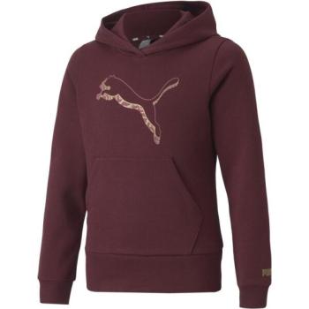 Puma ALPHA HOODIE FL G Lány pulóver, bordó, méret kép