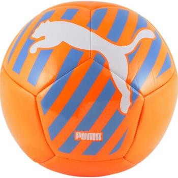 Puma BIG CAT Ball kép