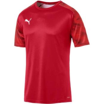 Puma CUP TRAINING JERSEY Férfi póló, piros, méret kép