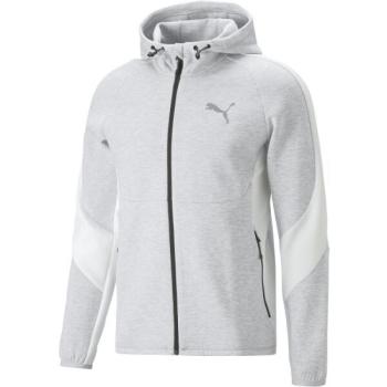 Puma EVOSTRIPE FULL-ZIP HOODIE DK Férfi sportos pulóver, szürke, méret kép