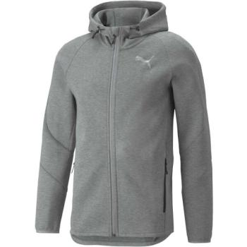 Puma EVOSTRIPE FULL-ZIP HOODIE Férfi sportfelső, szürke, méret kép