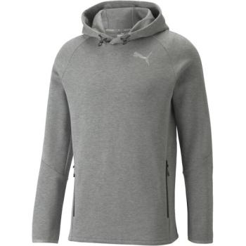 Puma EVOSTRIPE HOODIE Sportpulóver, szürke, méret kép