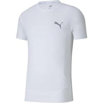 Puma EVOSTRIPE  TEE Férfi sportpóló, fehér, méret kép