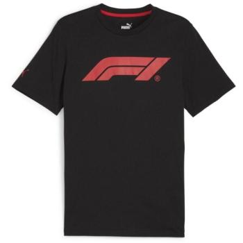 Puma F1 ESSENTIALS LOGO TEE Férfi póló, fekete, méret kép