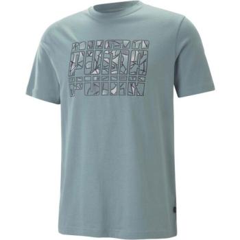 Puma GRAPHICS SUMMER TEE Férfi póló, szürke, méret kép