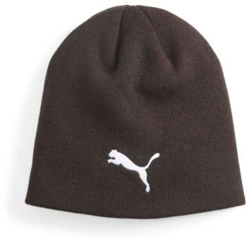 Puma INDIVIDUAL WINTERIZED BEANIE Férfi sapka, fekete, méret kép