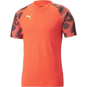 Puma INDIVIDUALFINAL WC JERSEY Férfi mez, narancssárga, méret kép