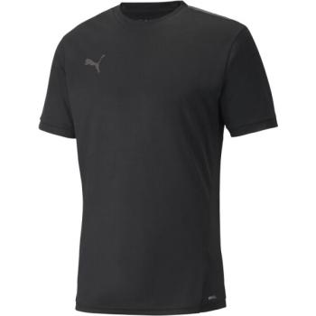 Puma INDIVIDUALLIGA WARM TRAINING JERSEY Férfi póló, fekete, méret kép