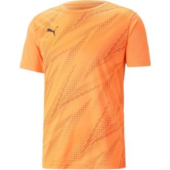 Puma INDIVIDUALRISE GRAPHIC TEE Férfi póló, narancssárga, méret kép