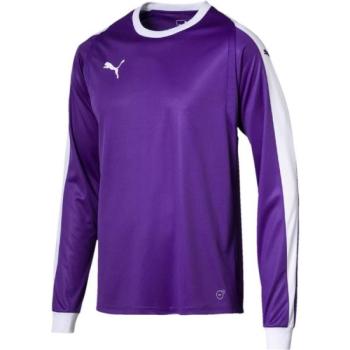 Puma LIGA GK JERSEY Férfi póló, lila, méret kép