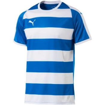 Puma LIGA JERSEY HOOPED Férfi edzőpóló, kék, méret kép