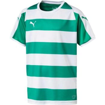 Puma LIGA JERSEY HOOPED JR Gyerek edzőpóló, zöld, méret kép