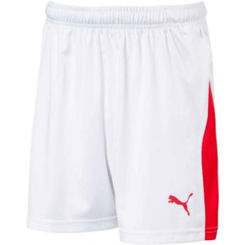 Puma LIGA SHORTS WITH BRIEF JR Fiú rövidnadrág focira, fehér, méret kép