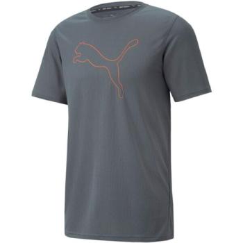 Puma PERFORMANCE CAT TEE Férfi póló, sötétszürke, méret kép