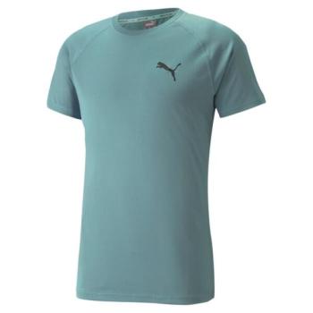 Puma RTG TEE Férfi edzőpóló, kék, méret kép