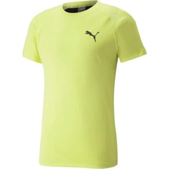 Puma RTG TEE Férfi edzőpóló, világoszöld, méret kép