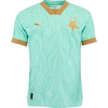 Puma SKS AWAY JERSEY PROMO Férfi mez, világoszöld, méret kép