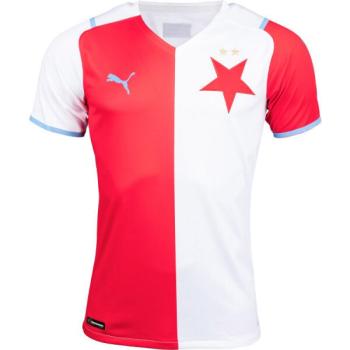 Puma SKS HOME SHIRT PROMO Férfi mez, fehér, méret kép