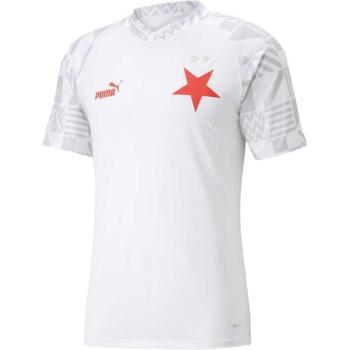 Puma SKS Prematch Jersey 22/23 Férfi focimez bemelegítéshez, fehér, méret kép