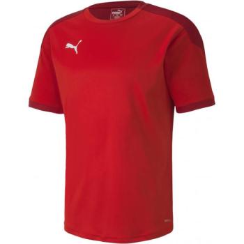 Puma TEAM FINAL 21 TRAINING JERSEY Férfi edzőpóló, piros, méret kép