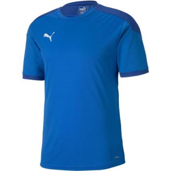 Puma TEAM FINAL 21 TRAINING JERSEY Férfi póló, kék, méret kép