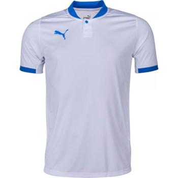 Puma TEAM FINAL JERSEY Férfi mez, fehér, méret kép