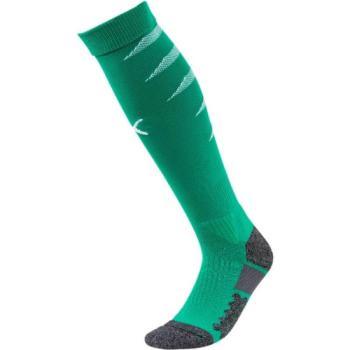 Puma TEAM FINAL SOCKS Férfi sportszár futballozáshoz, zöld, méret kép