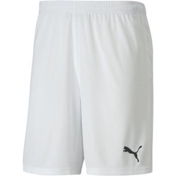 Puma TEAM GOAL 23 KNIT SHORTS Férfi rövidnadrág, fehér, méret kép