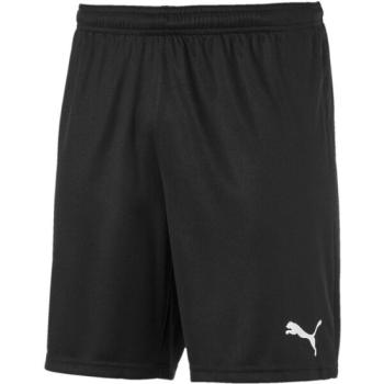 Puma TEAM GOAL 23 KNIT SHORTS Férfi rövidnadrág, fekete, méret kép