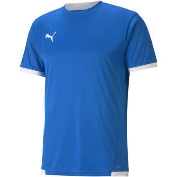 Puma TEAM LIGA JERSEY Férfi futballpóló, kék, méret kép