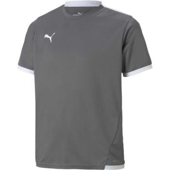 Puma TEAM LIGA JERSEY JR Férfi futballpóló, szürke, méret kép