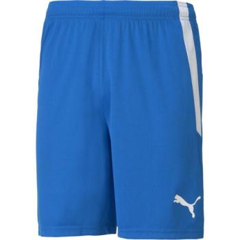 Puma TEAM LIGA SHORTS Férfi rövidnadrág, kék, méret kép