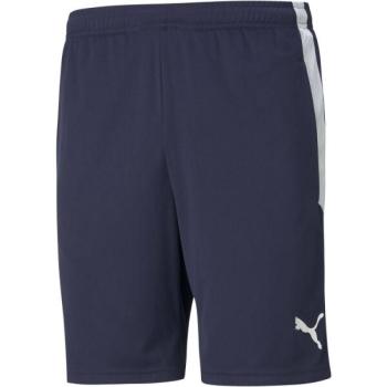 Puma TEAM LIGA TRAINING SHORTS Férfi futball rövidnadrág, sötétkék, méret kép