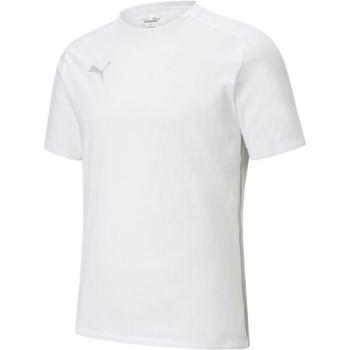 Puma TEAMCUP CASUALS TEE Futballpóló, fehér, méret kép